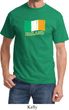 St Patrick's Day Distressed Ireland Flag Shirt