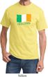 St Patrick's Day Distressed Ireland Flag Shirt