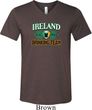 St Patrick's Day Ireland Drinking Team Mens Tri Blend V-neck Shirt