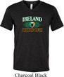 St Patrick's Day Ireland Drinking Team Mens Tri Blend V-neck Shirt