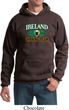 St Patrick's Day Ireland EST 1922 Drinking Team Hoodie