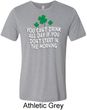 St Patricks Day Drink All Day Tri Blend Tee