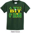St Patricks Day Kids Shirt A Wee Bit Irish Tee T-Shirt