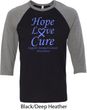 Stomach Cancer Tee Hope Love Cure Raglan Shirt