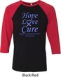 Stomach Cancer Tee Hope Love Cure Raglan Shirt