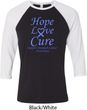 Stomach Cancer Tee Hope Love Cure Raglan Shirt