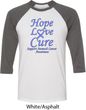 Stomach Cancer Tee Hope Love Cure Raglan Shirt