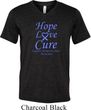 Stomach Cancer Tee Hope Love Cure Tri Blend V-neck