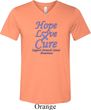 Stomach Cancer Tee Hope Love Cure Tri Blend V-neck