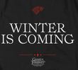 Game of Thrones GOT Winter is Coming Adult T-shirt - Black