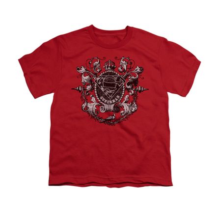 Superman Shirt Kids All Hail Red T-Shirt