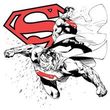 Superman T-shirt Double The Power Adult White Superhero Tee Shirt