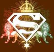 Superman T-shirt Ornate Lion Shield Adult Brown Tee Shirt