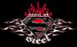 Superman T-shirt Steel Flames Shield Logo Adult Black Tee Shirt