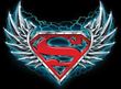 Superman T-shirt Steel Wings Logo Adult Black Tee Shirt