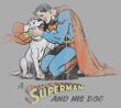 Superman T-shirt Superdog Krypto Adult Athletic Heather Tee Shirt