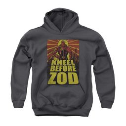 Superman Youth Hoodie Kneel Charcoal Kids Hoody