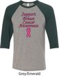 Support Breast Cancer Awareness Raglan Shirt