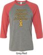 Support Childhood Cancer Awareness Raglan Shirt