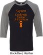 Support Leukemia Cancer Awareness Raglan Shirt