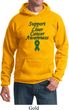 Support Liver Cancer Awareness Hoodie