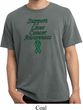 Support Liver Cancer Awareness Pigment Dyed T-shirt