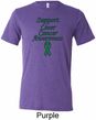 Support Liver Cancer Awareness Tri Blend Tee