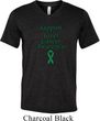 Support Liver Cancer Awareness Tri Blend V-neck