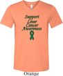 Support Liver Cancer Awareness Tri Blend V-neck
