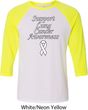 Support Lung Cancer Awareness Raglan Shirt