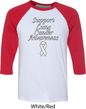 Support Lung Cancer Awareness Raglan Shirt