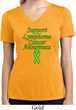 Support Lymphoma Cancer Awareness Ladies Dry Wicking V-neck