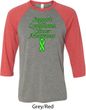 Support Lymphoma Cancer Awareness Raglan Shirt