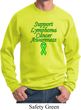 Support Lymphoma Cancer Awareness Sweatshirt