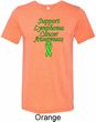 Support Lymphoma Cancer Awareness Tri Blend Tee