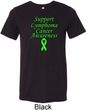 Support Lymphoma Cancer Awareness Tri Blend Tee