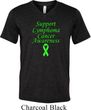 Support Lymphoma Cancer Awareness Tri Blend V-neck