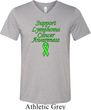 Support Lymphoma Cancer Awareness Tri Blend V-neck