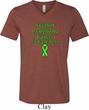 Support Lymphoma Cancer Awareness Tri Blend V-neck