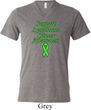 Support Lymphoma Cancer Awareness Tri Blend V-neck