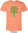 Support Lymphoma Cancer Awareness Tri Blend V-neck