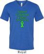 Support Lymphoma Cancer Awareness Tri Blend V-neck