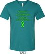 Support Lymphoma Cancer Awareness Tri Blend V-neck