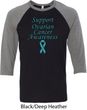 Support Ovarian Cancer Awareness Raglan Shirt