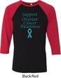 Support Ovarian Cancer Awareness Raglan Shirt