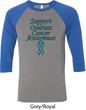 Support Ovarian Cancer Awareness Raglan Shirt