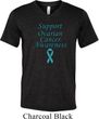 Support Ovarian Cancer Awareness Tri Blend V-neck