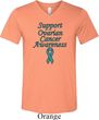 Support Ovarian Cancer Awareness Tri Blend V-neck