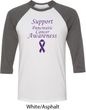 Support Pancreatic Cancer Awareness Raglan Shirt