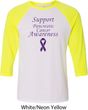 Support Pancreatic Cancer Awareness Raglan Shirt